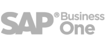 Conector SAP Business One prestashop